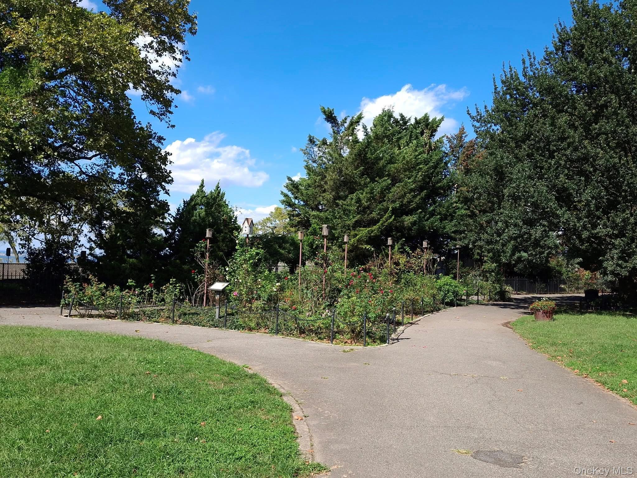 Coop Oliver  Brooklyn, NY 11209, MLS-926420-15