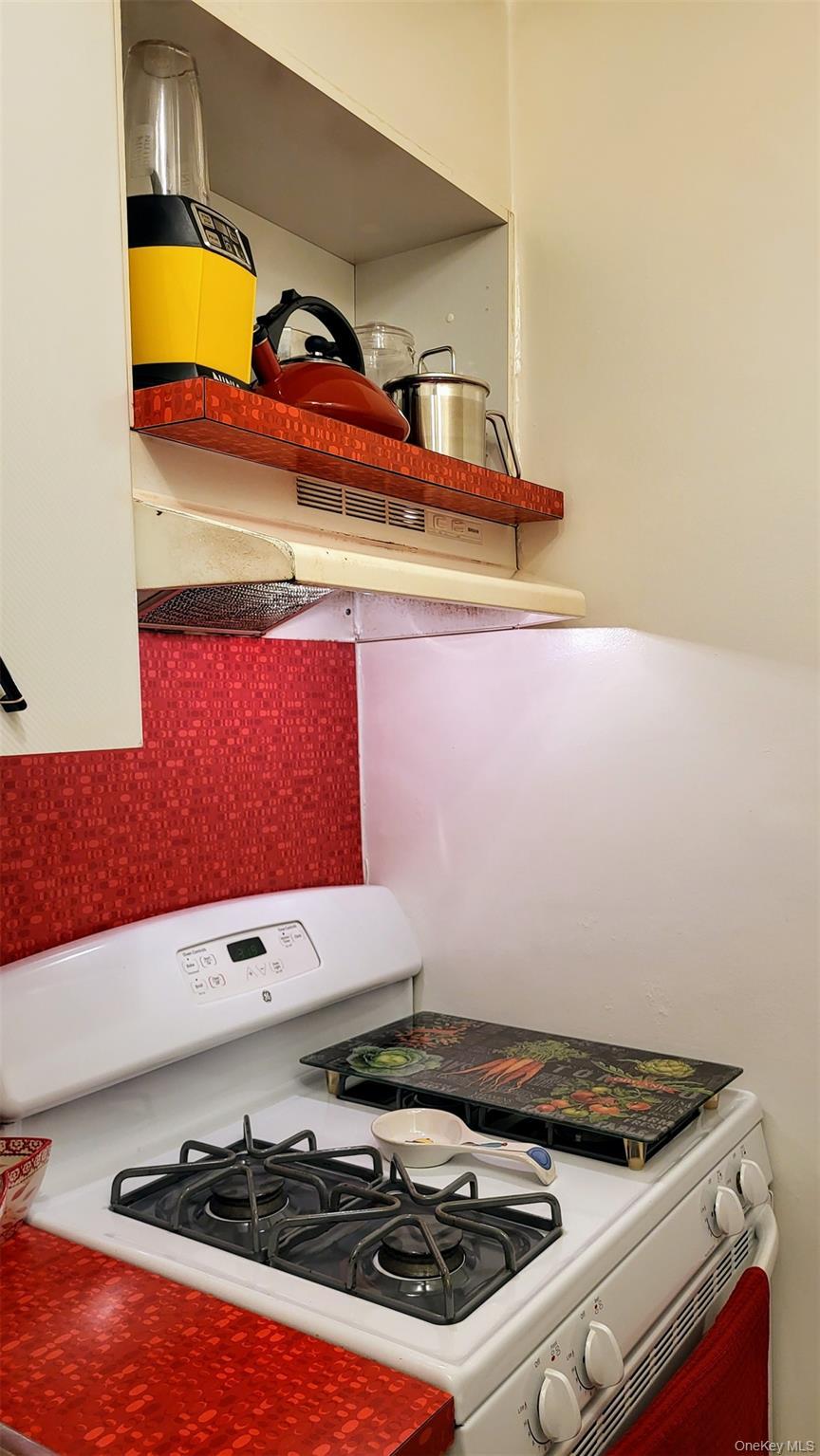 Coop Oliver  Brooklyn, NY 11209, MLS-926420-8