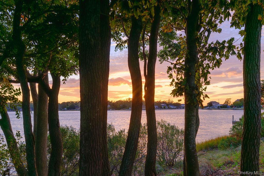 Single Family Ruch Suffolk County, NY 11971, MLS-926461-22