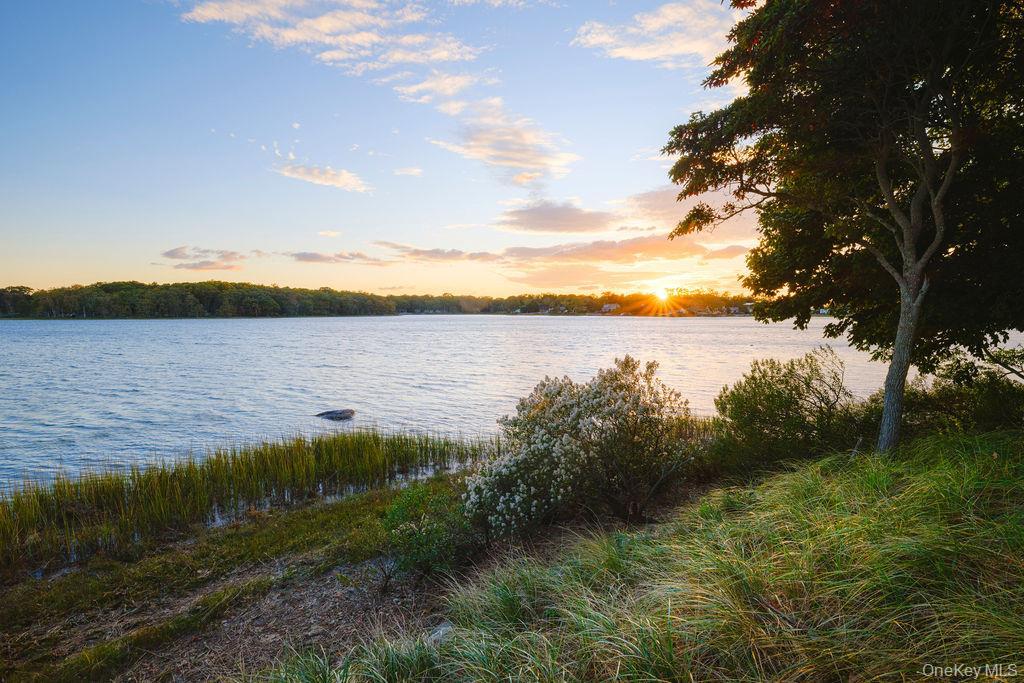 Single Family Ruch Suffolk County, NY 11971, MLS-926461-29