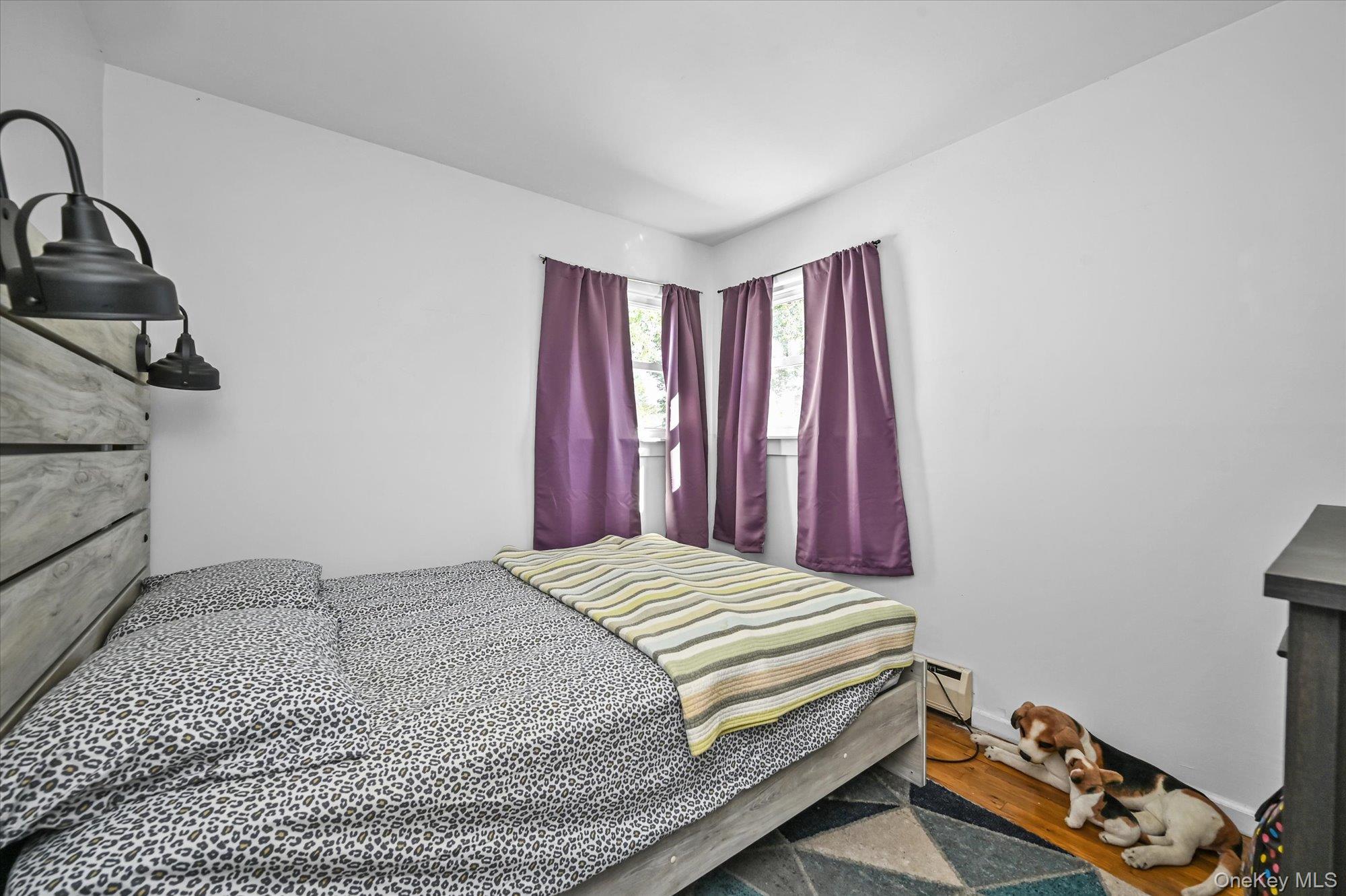 Single Family E Chestnut Street Suffolk County, NY 11722, MLS-926465-8