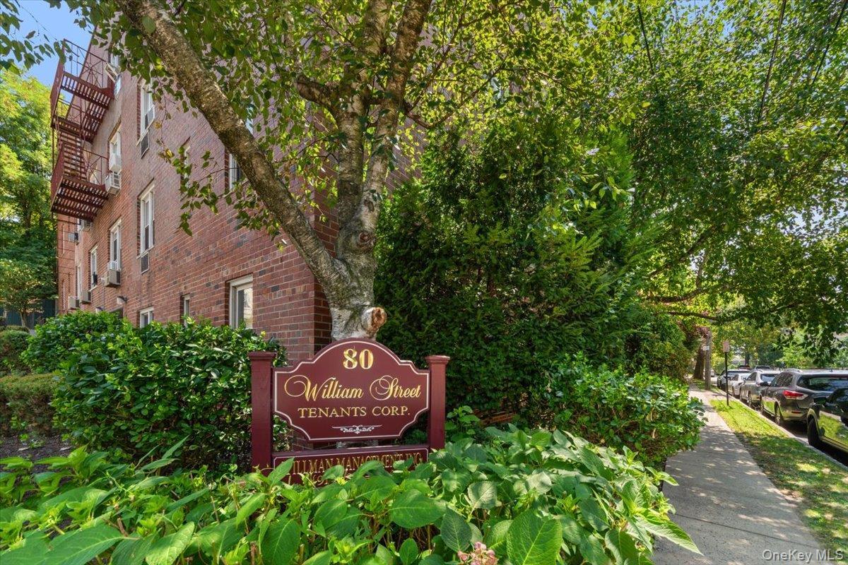 Coop William Street  Westchester County, NY 10552, MLS-926508-2