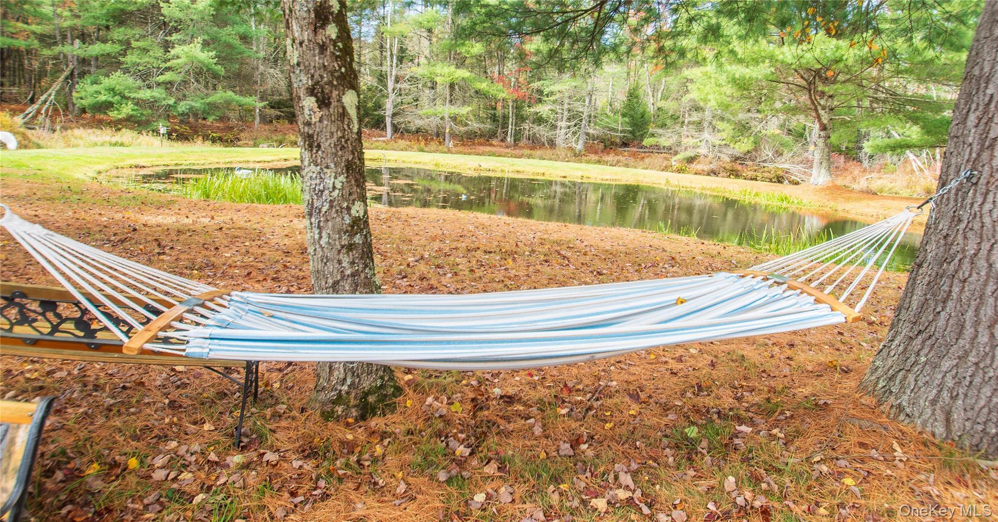 Single Family Valley Sullivan County, NY 12777, MLS-926527-36