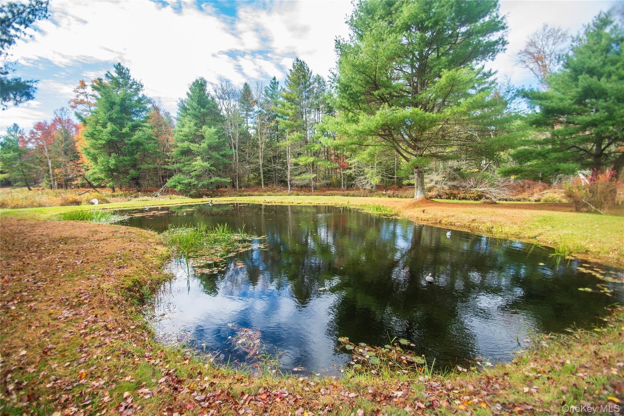 Single Family Valley Sullivan County, NY 12777, MLS-926527-37