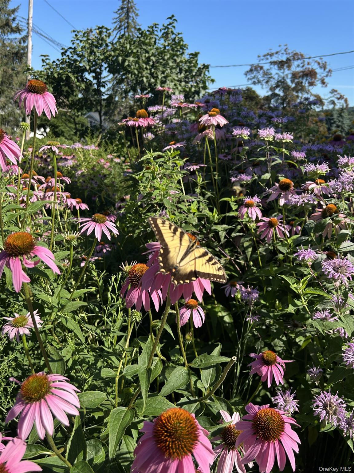 Single Family Sutton  Westchester County, NY 10562, MLS-926711-45