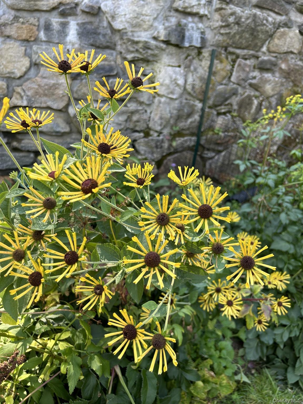 Single Family Sutton  Westchester County, NY 10562, MLS-926711-46