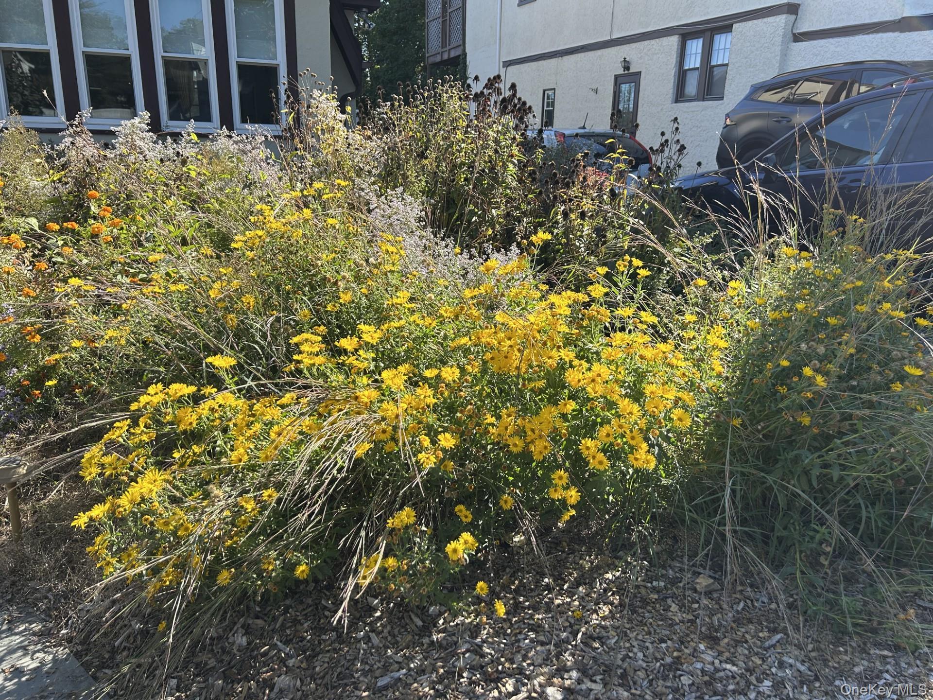 Single Family Sutton  Westchester County, NY 10562, MLS-926711-48