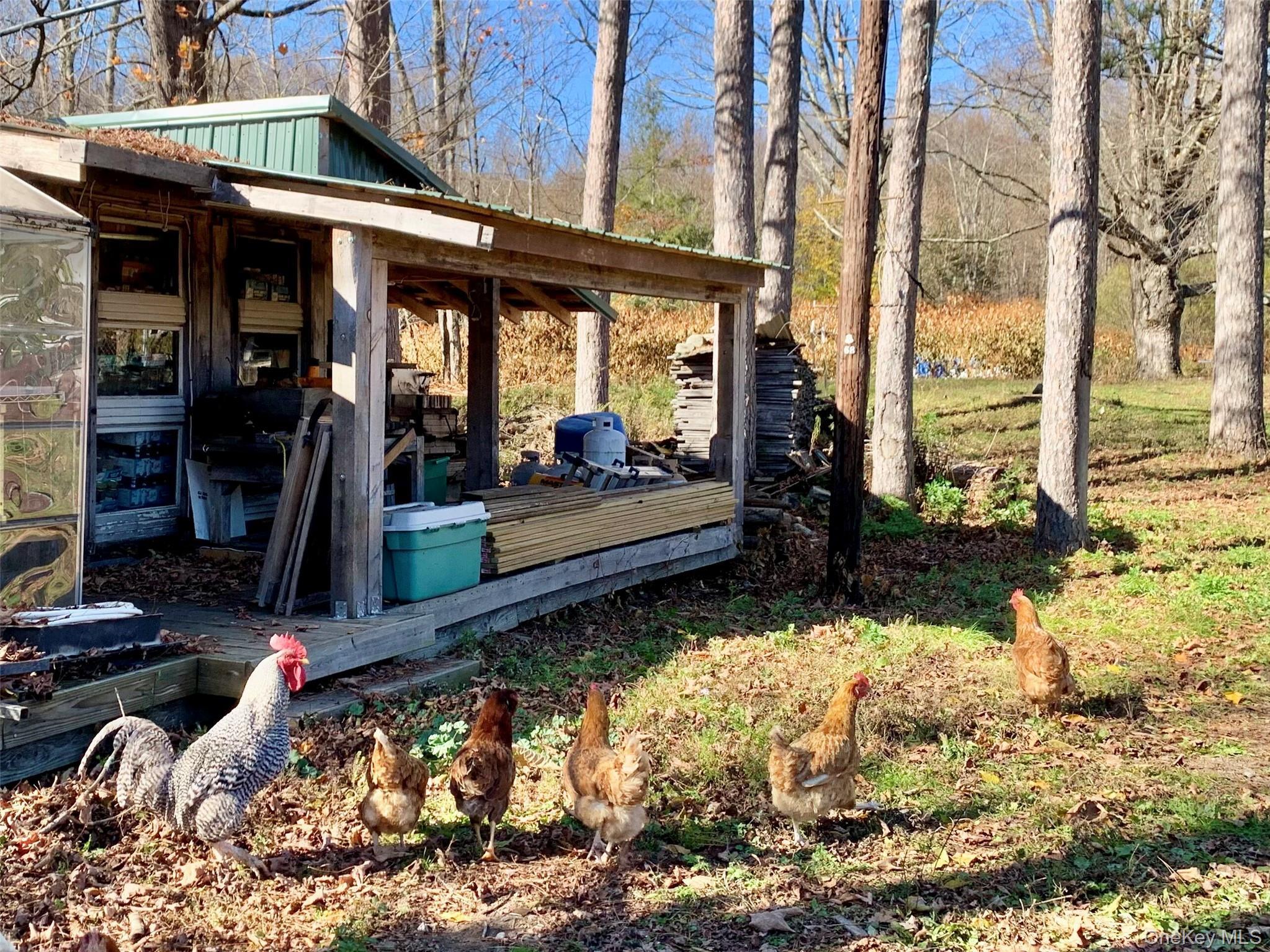 Single Family Grooville Sullivan County, NY 12758, MLS-926712-22