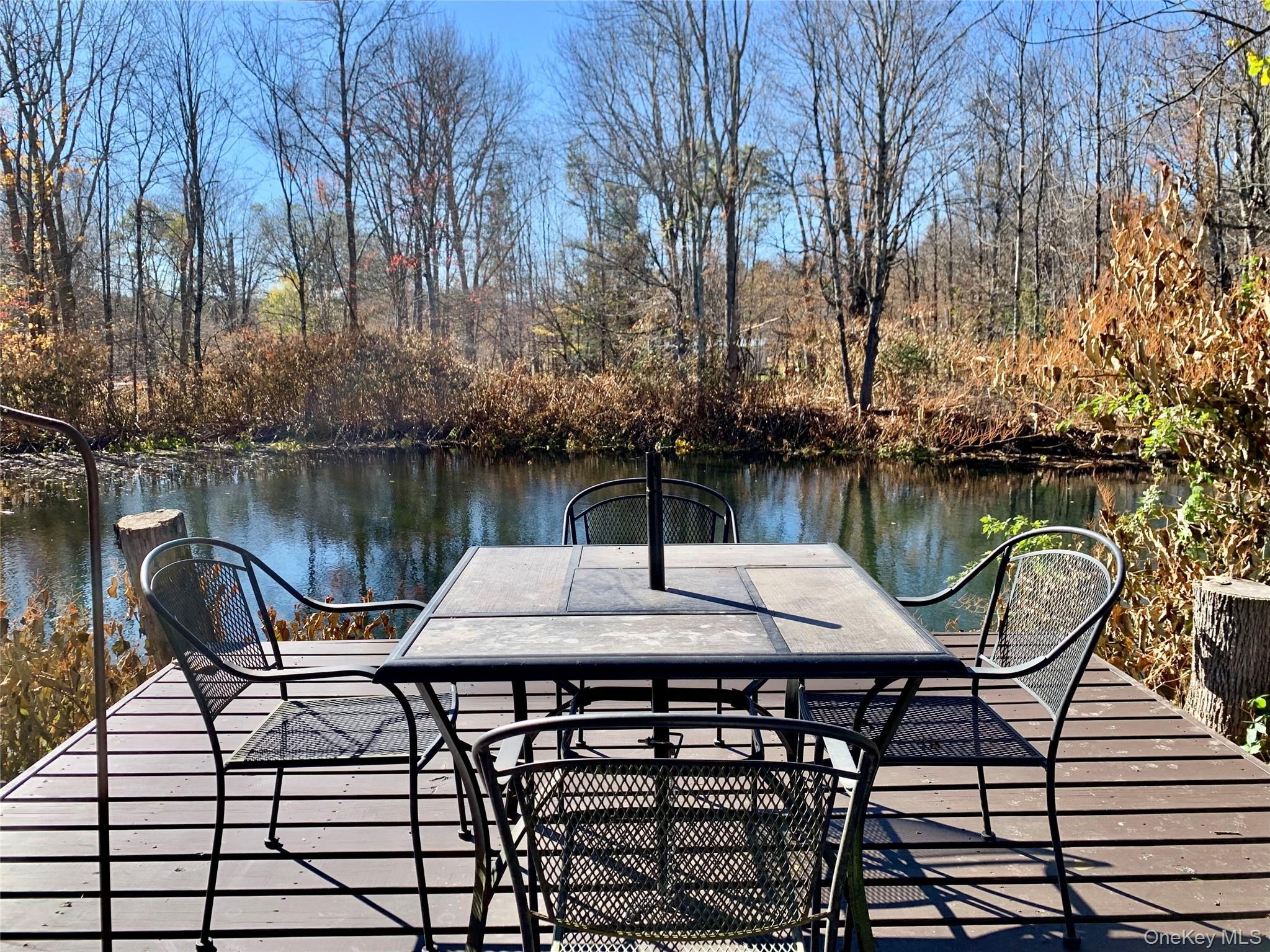 Single Family Grooville Sullivan County, NY 12758, MLS-926712-29