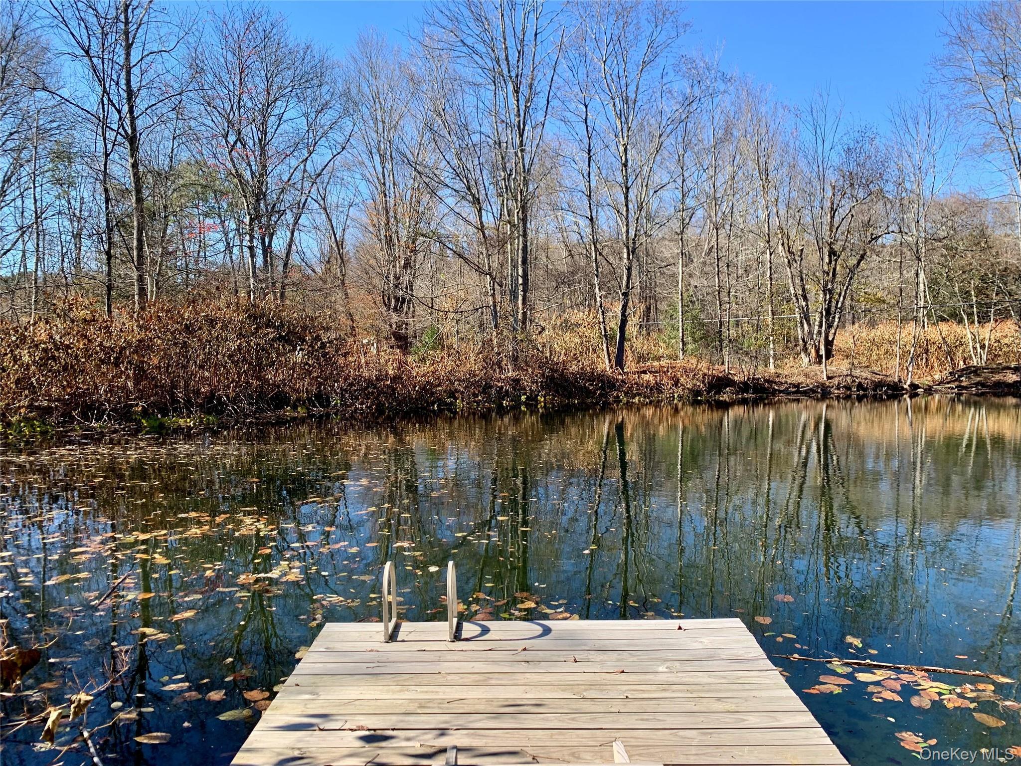 Single Family Grooville Sullivan County, NY 12758, MLS-926712-30