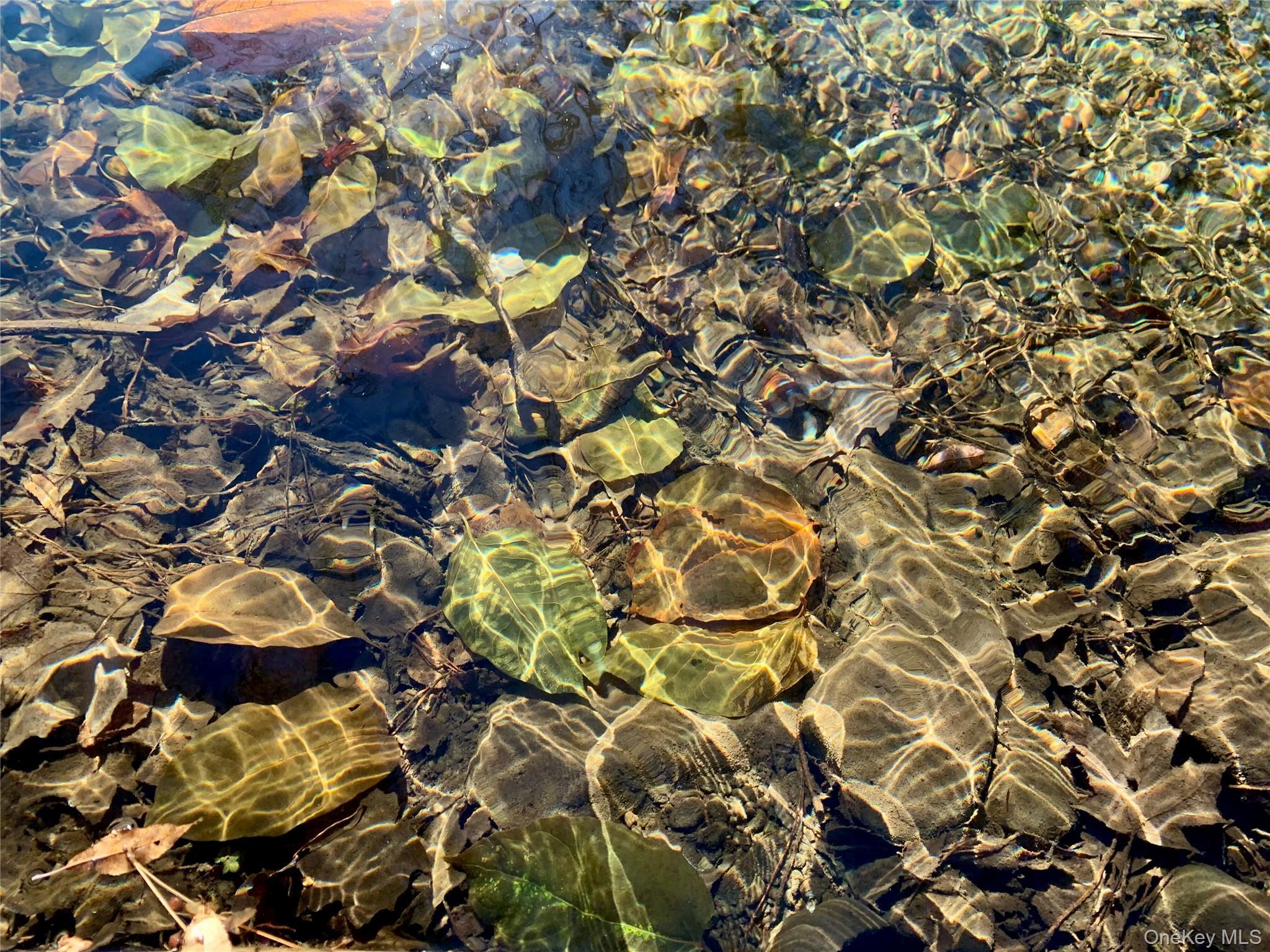 Single Family Grooville Sullivan County, NY 12758, MLS-926712-31