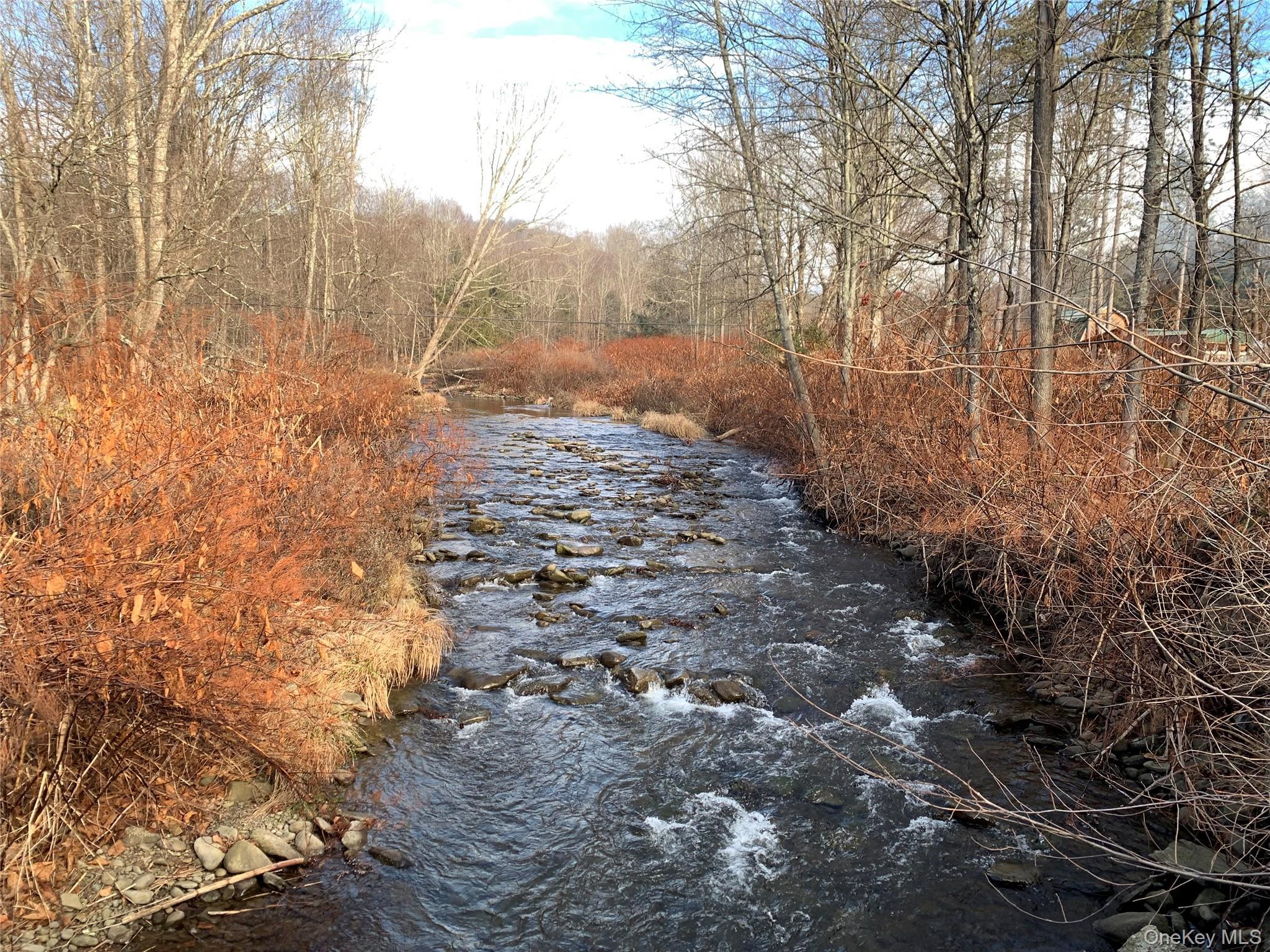 Single Family Grooville Sullivan County, NY 12758, MLS-926712-32