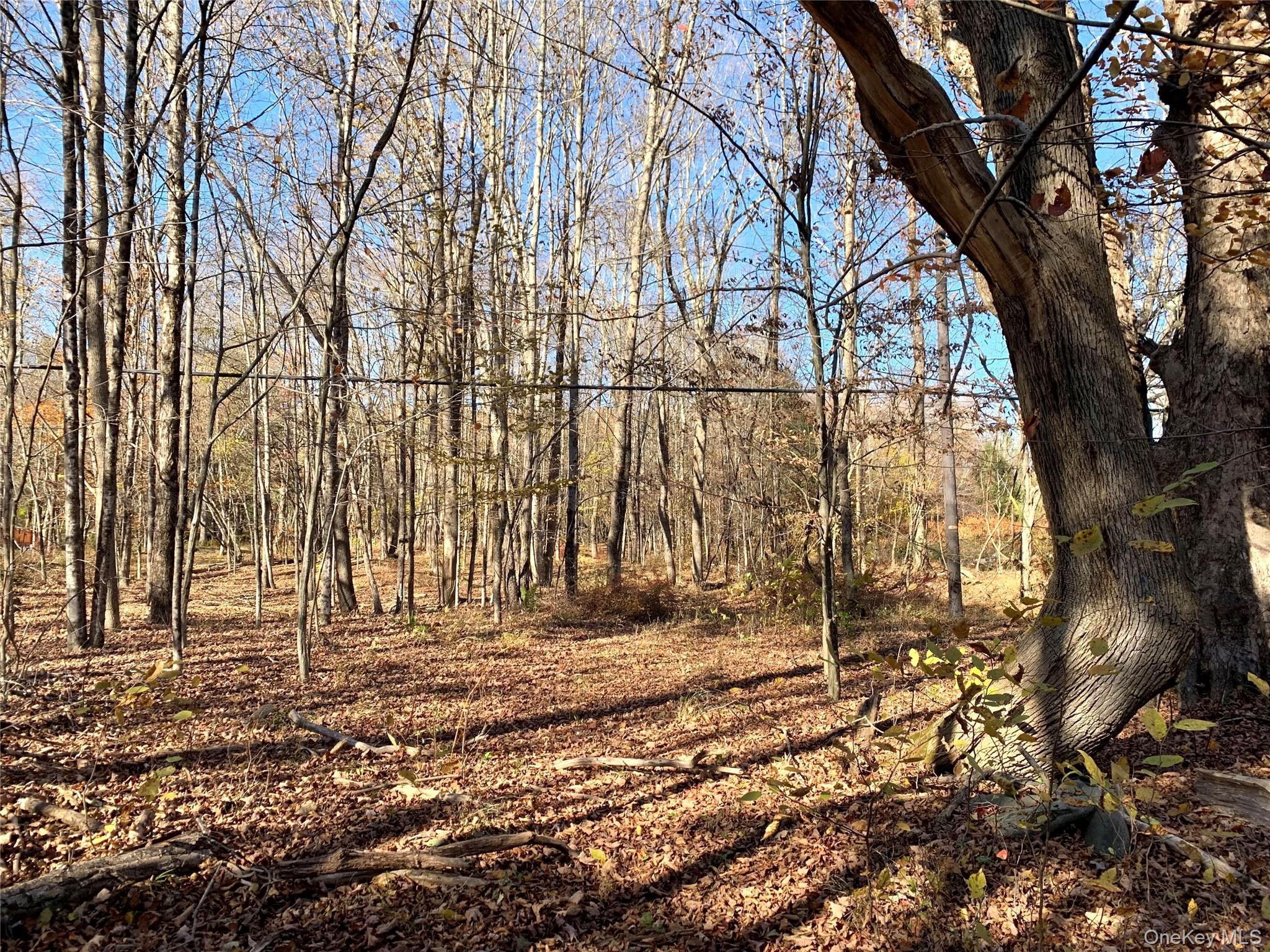 Single Family Grooville Sullivan County, NY 12758, MLS-926712-36