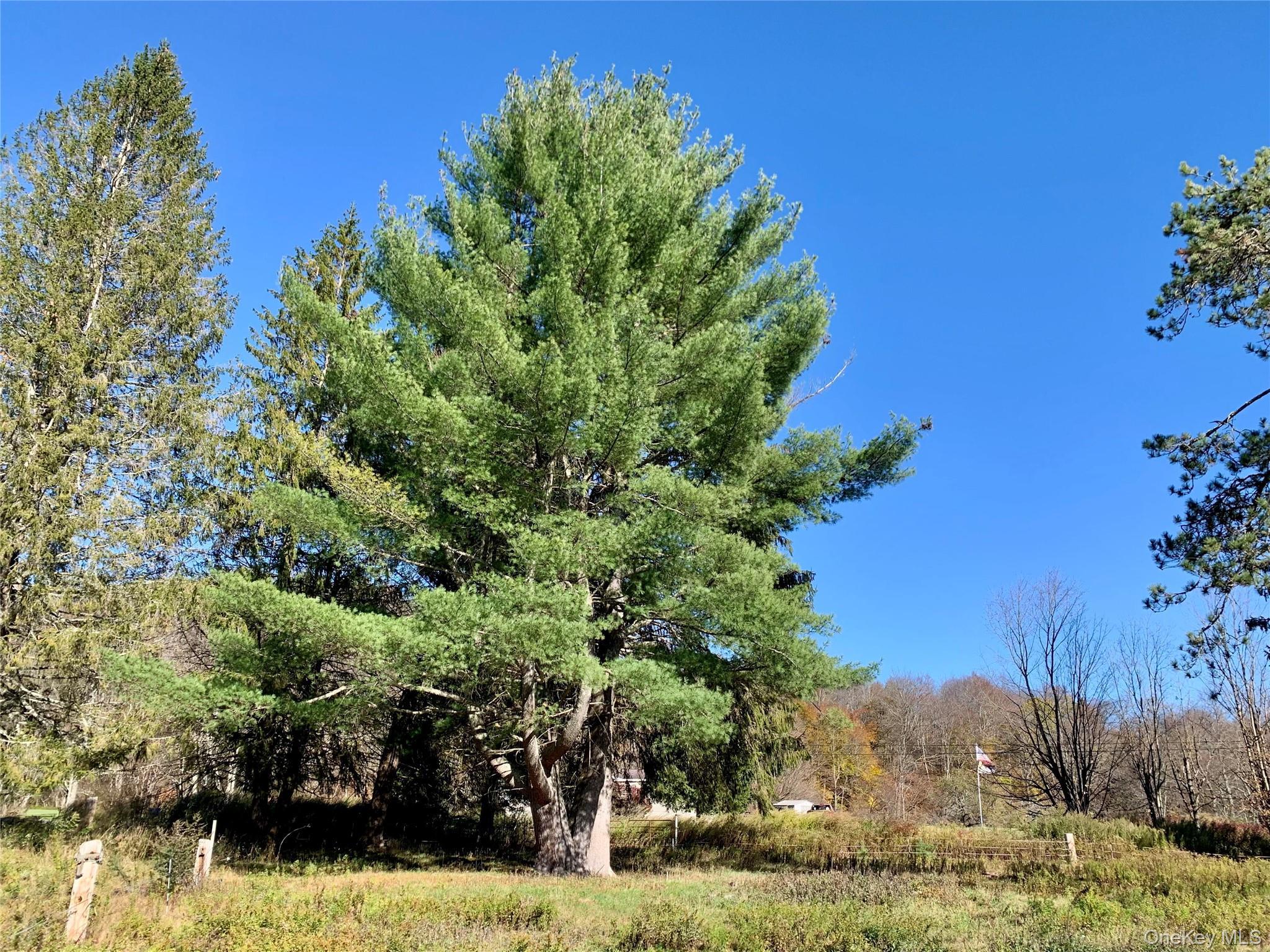 Single Family Grooville Sullivan County, NY 12758, MLS-926712-38