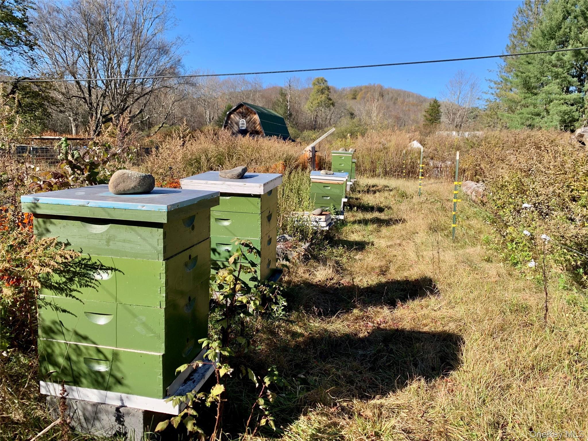 Single Family Grooville Sullivan County, NY 12758, MLS-926712-39