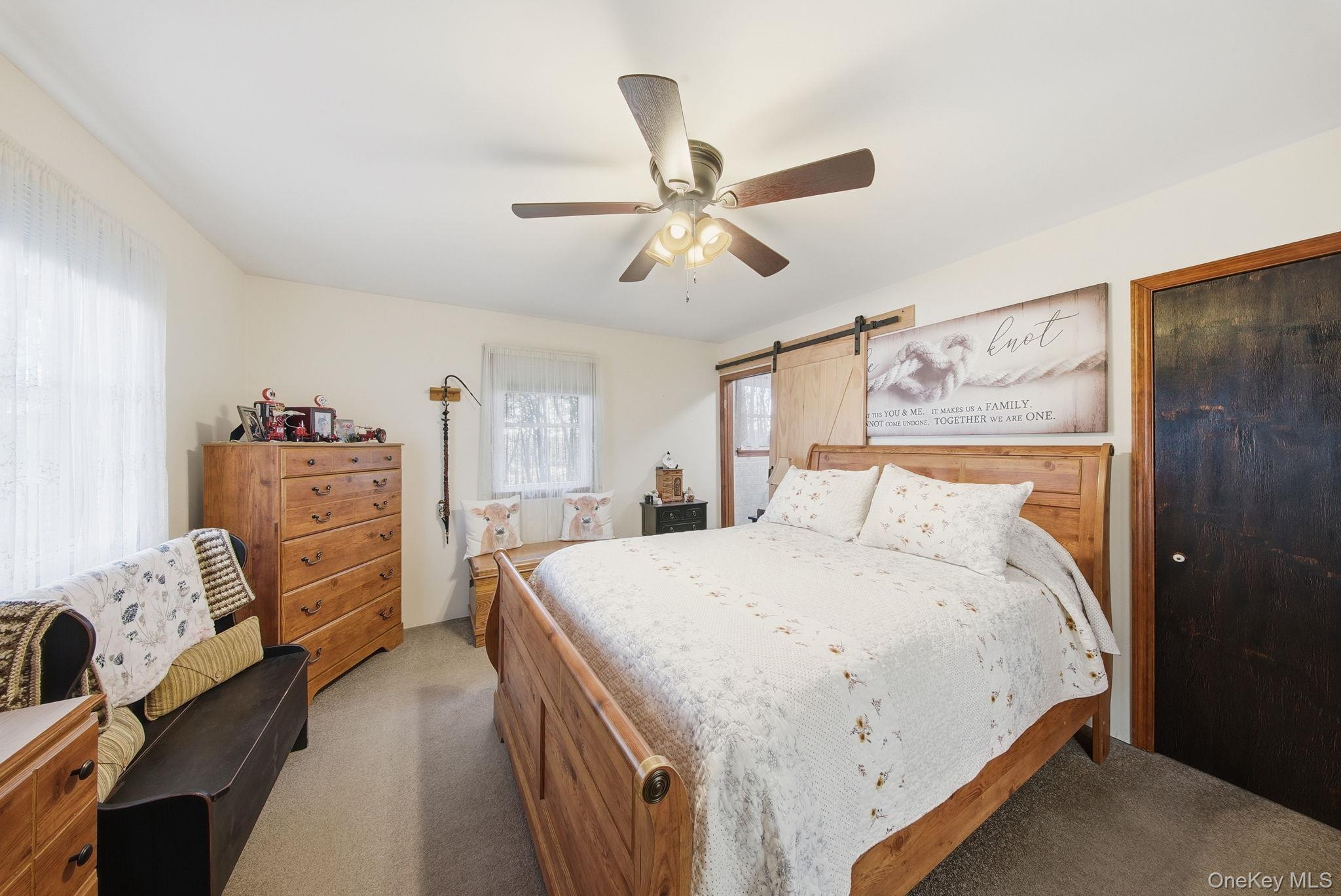 Single Family Shoddy Hollow Orange County, NY 10963, MLS-926716-21