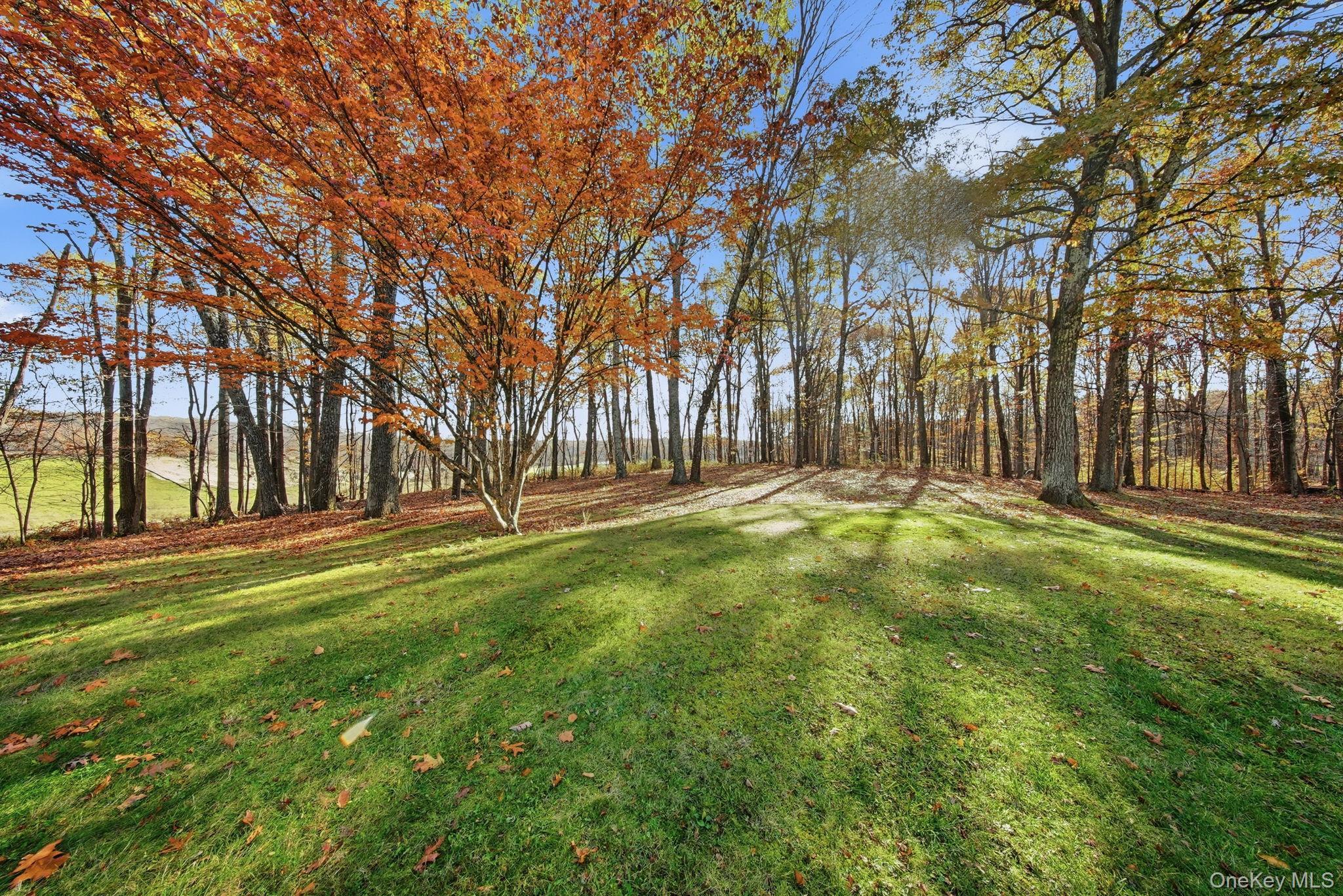 Single Family Shoddy Hollow Orange County, NY 10963, MLS-926716-39