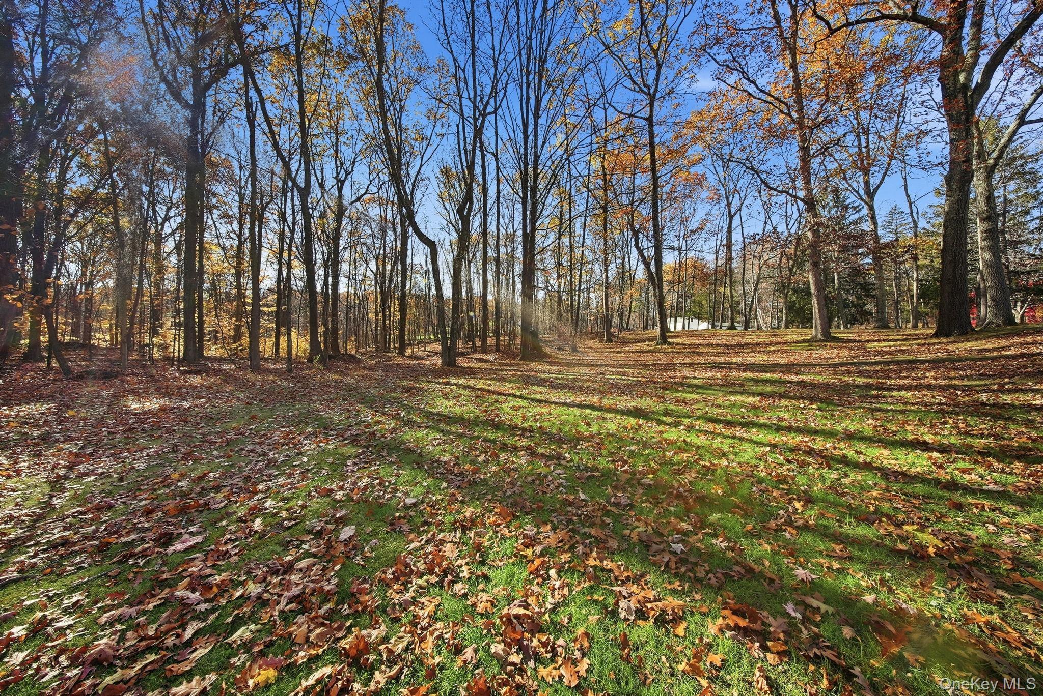 Single Family Shoddy Hollow Orange County, NY 10963, MLS-926716-40