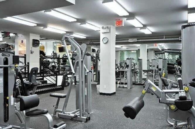 Coop 215th  Queens, NY 11360, MLS-926740-25