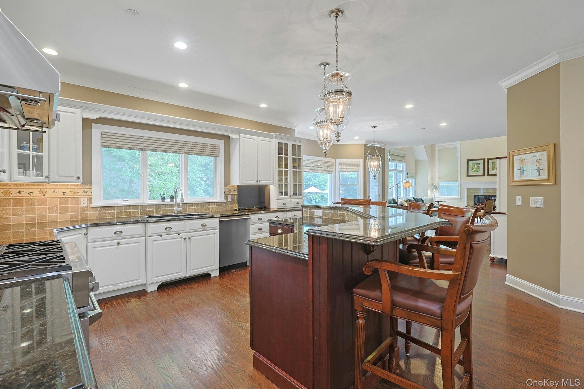 Single Family Hammond Ridge Westchester County, NY 10549, MLS-926786-10