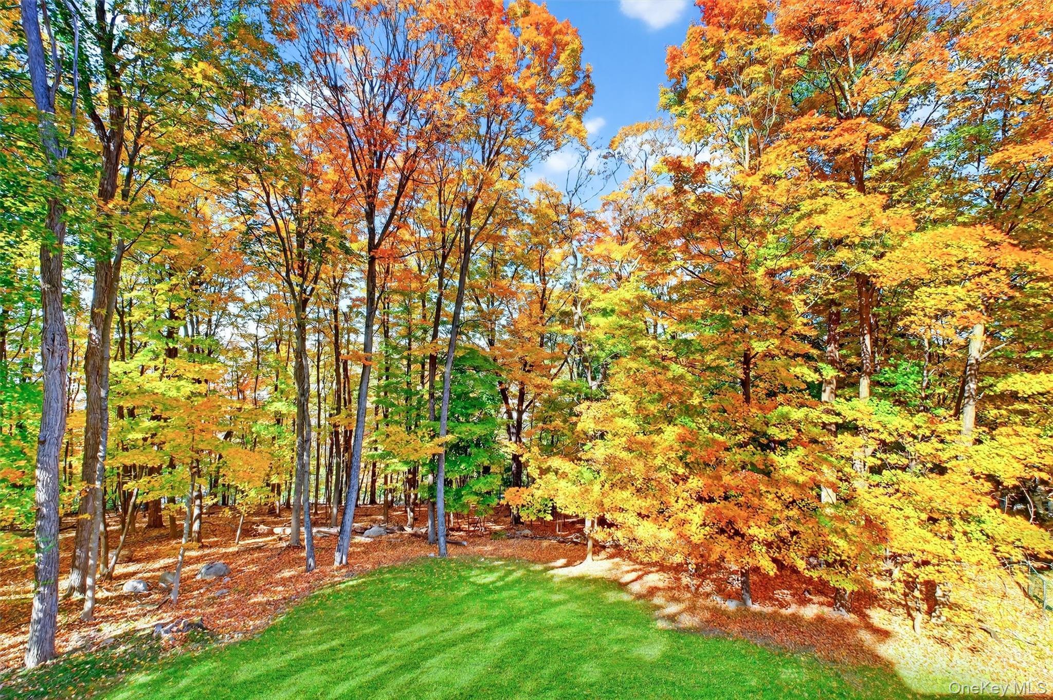 Single Family Longview  Westchester County, NY 10566, MLS-926793-31