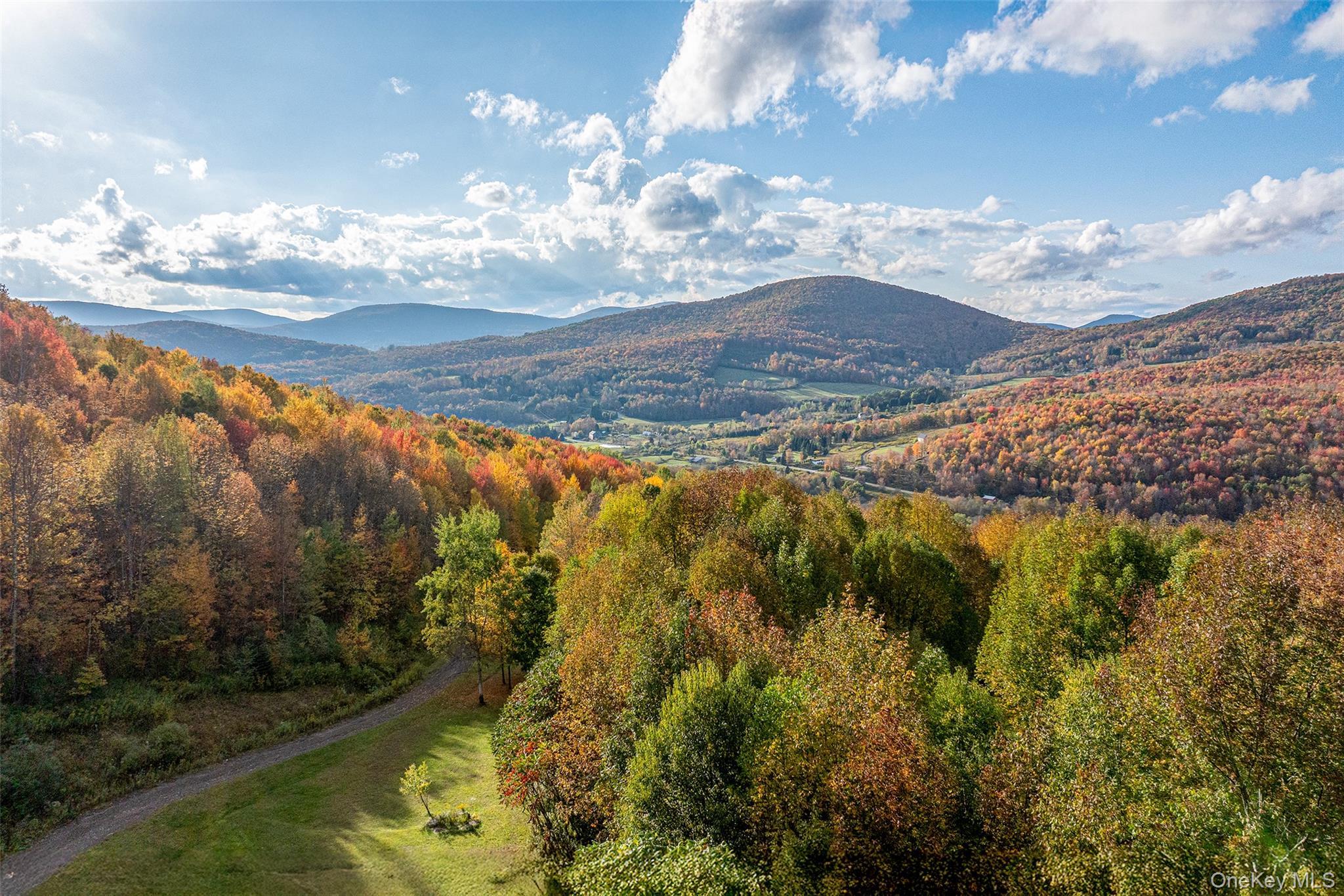 Single Family Stewart Delaware County, NY 12421, MLS-926886-5