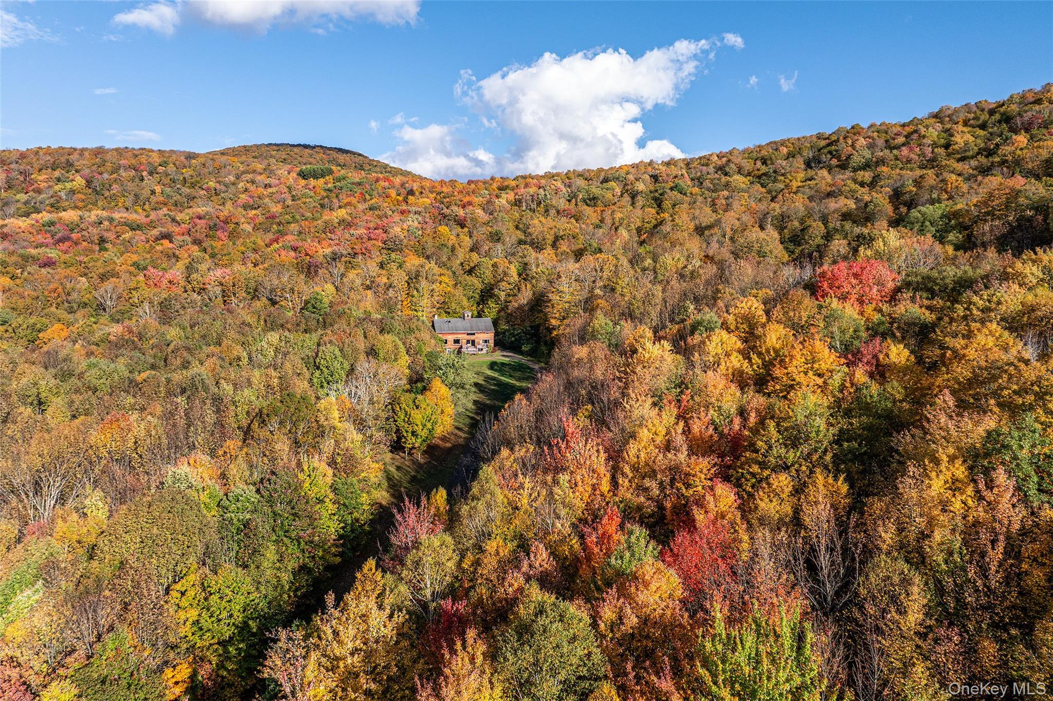 Single Family Stewart  Delaware County, NY 12421, MLS-926886-50