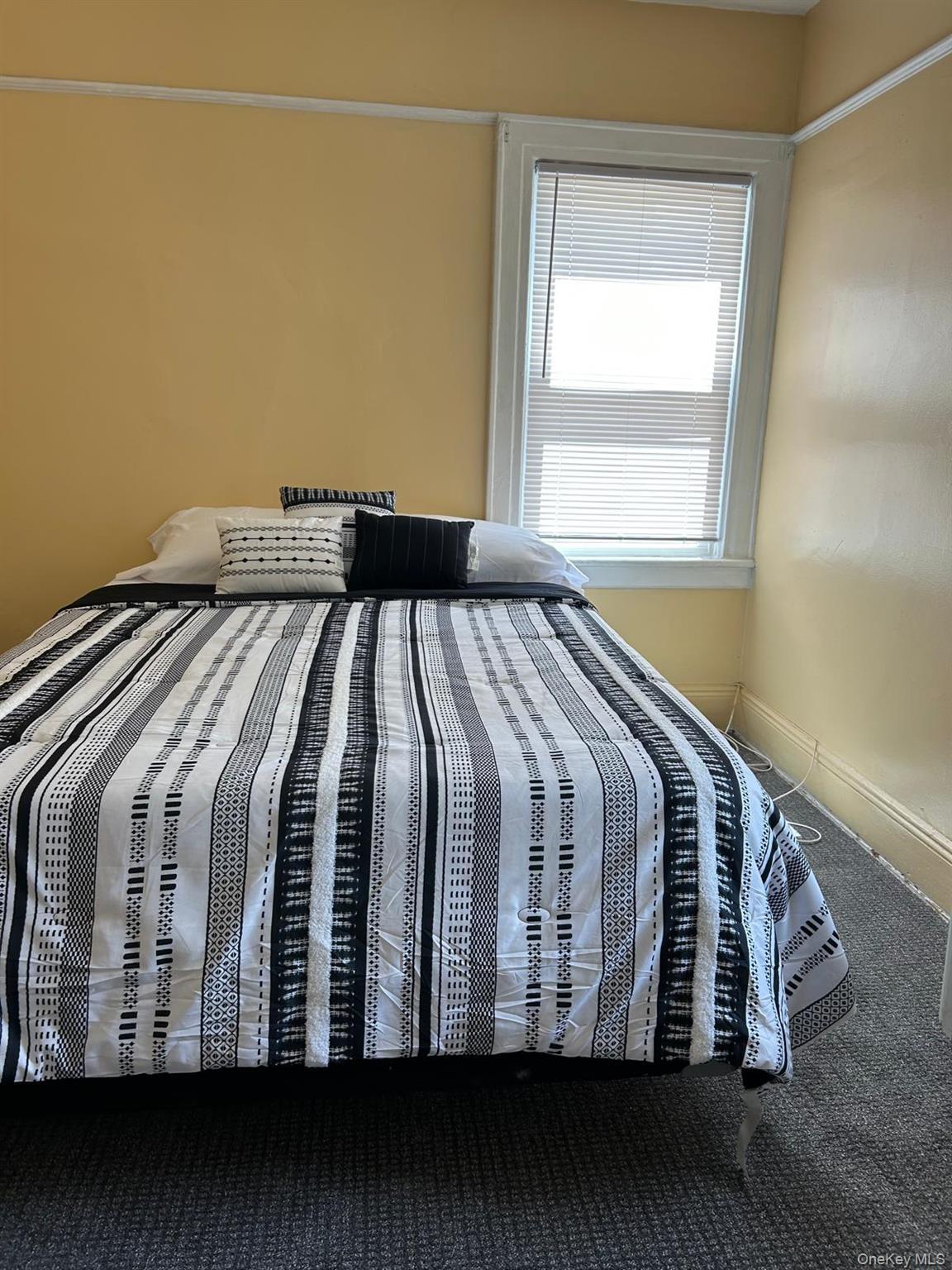 Single Family 96th  Brooklyn, NY 11236, MLS-926911-7