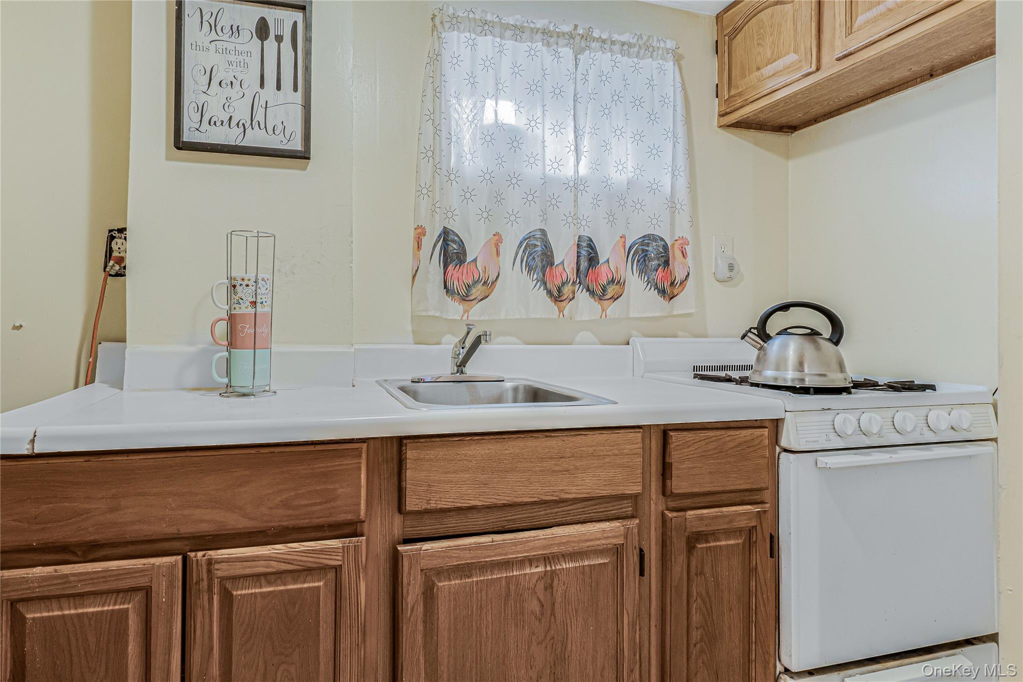 Single Family 172nd Queens, NY 11434, MLS-926934-17