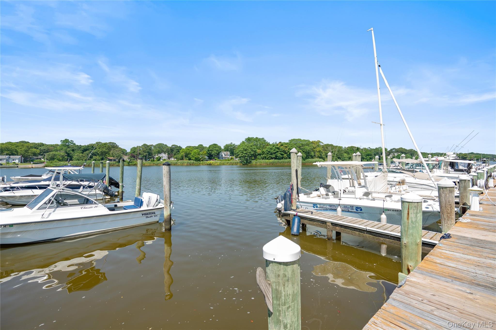 Condo River Suffolk County, NY 11955, MLS-926941-35