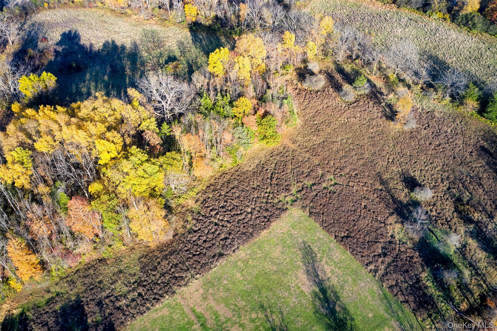 Single Family County Route 1 Orange County, NY 10990, MLS-927045-43