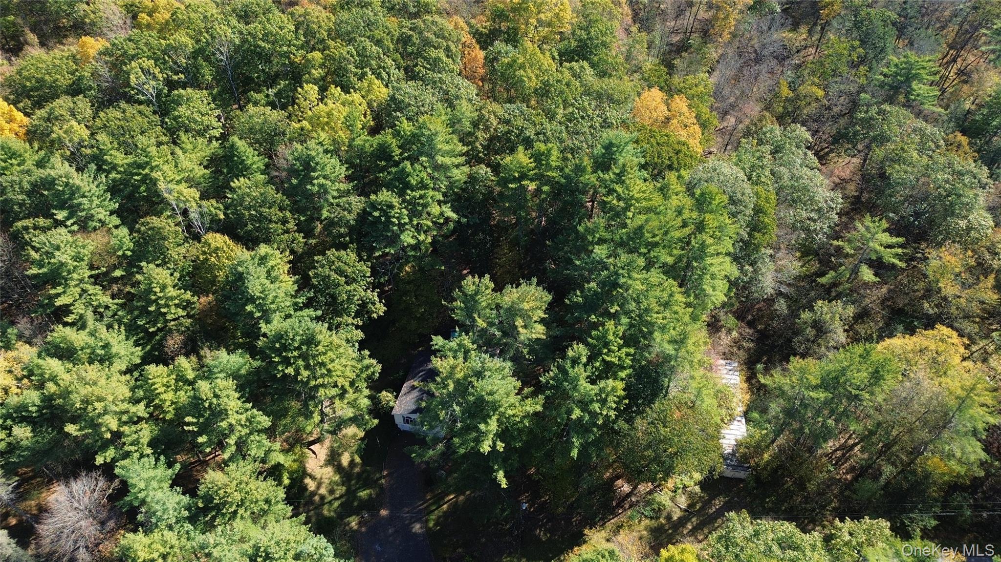 Single Family Honey Hollow Greene County, NY 12124, MLS-927064-2