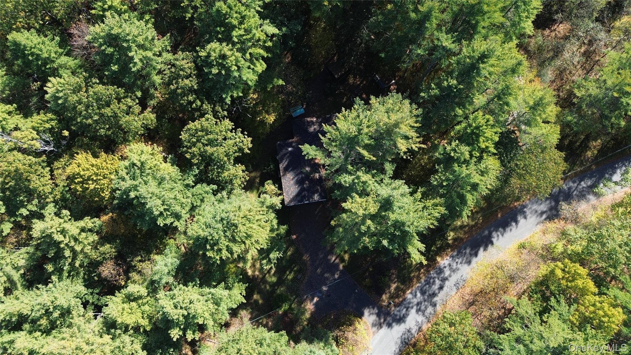 Single Family Honey Hollow Greene County, NY 12124, MLS-927064-25