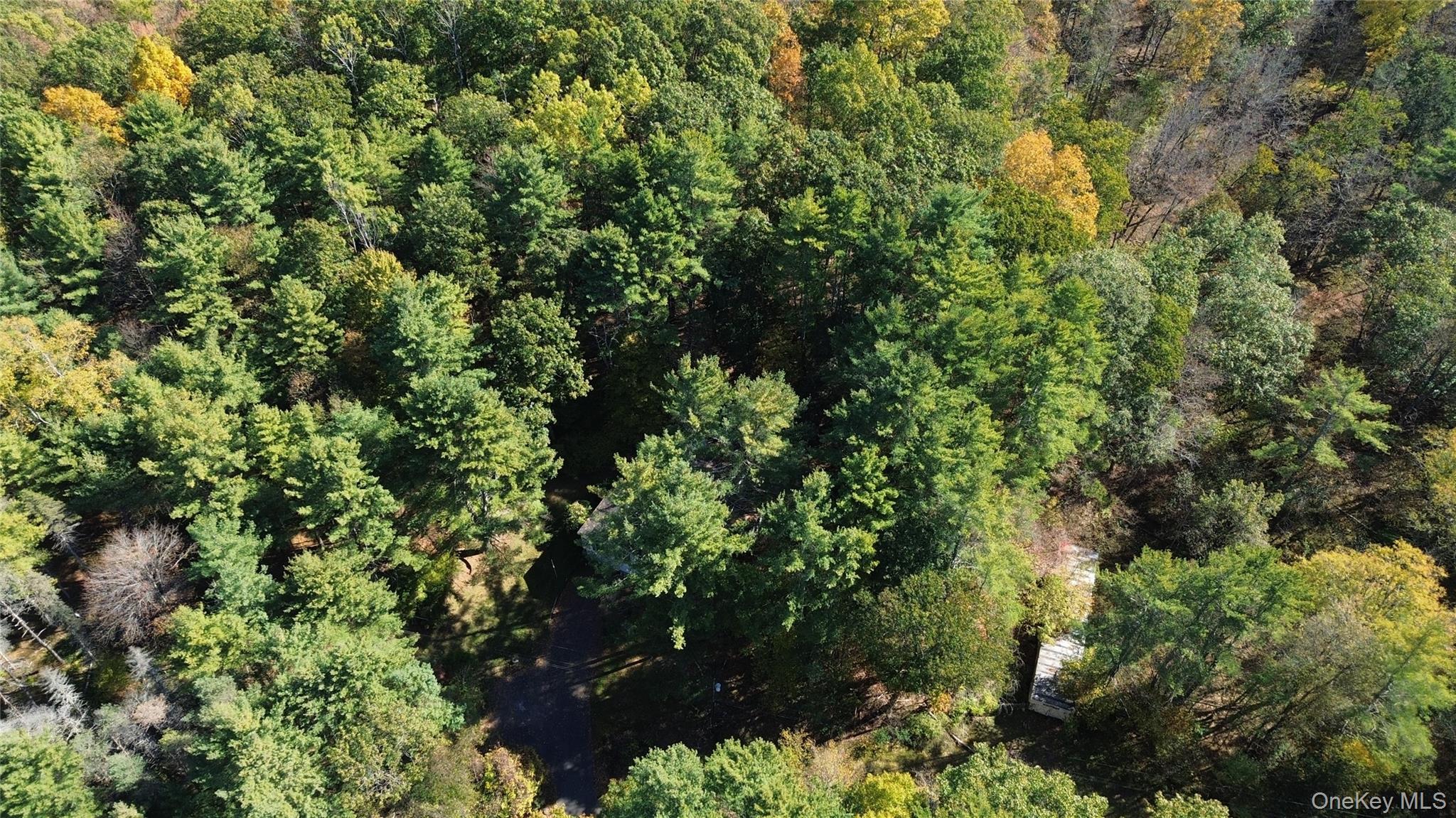 Single Family Honey Hollow Greene County, NY 12124, MLS-927064-26