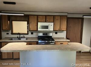 Single Family Honey Hollow Greene County, NY 12124, MLS-927064-8