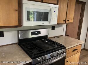 Single Family Honey Hollow Greene County, NY 12124, MLS-927064-9