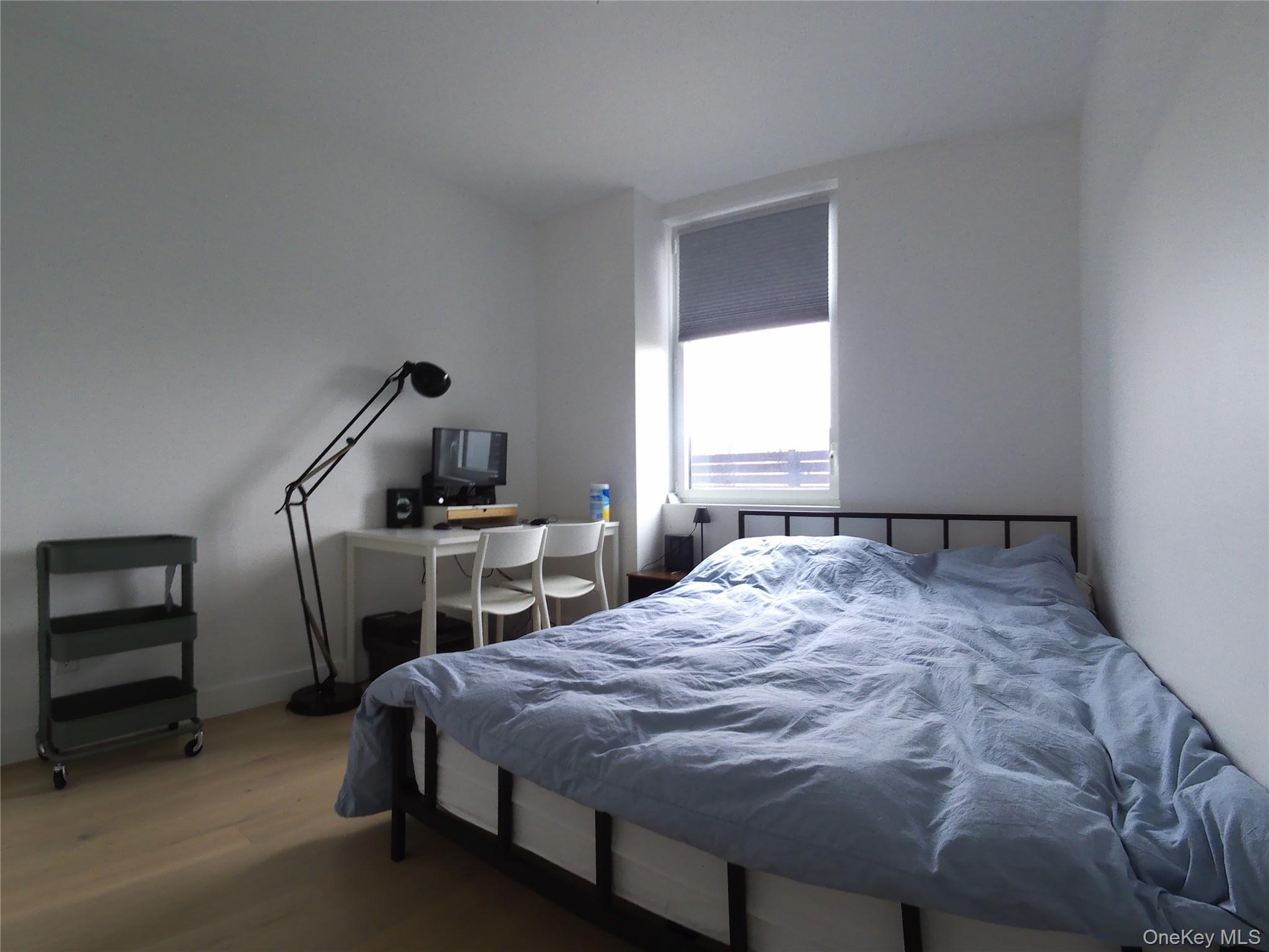 Condo Maple  Queens, NY 11355, MLS-927087-4