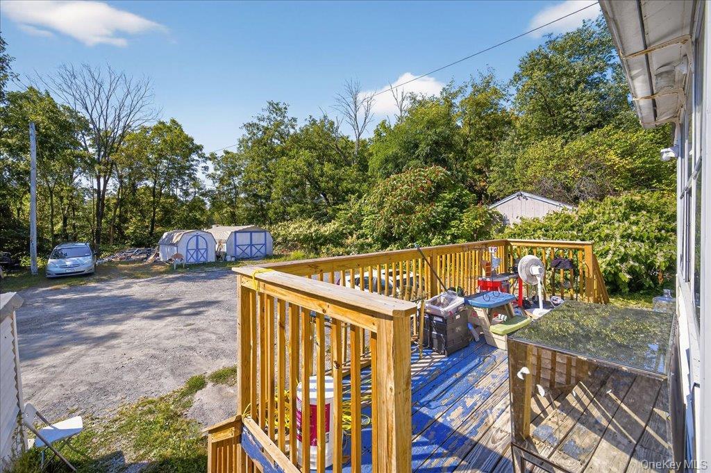 Single Family Main  Sullivan County, NY 12721, MLS-927174-28