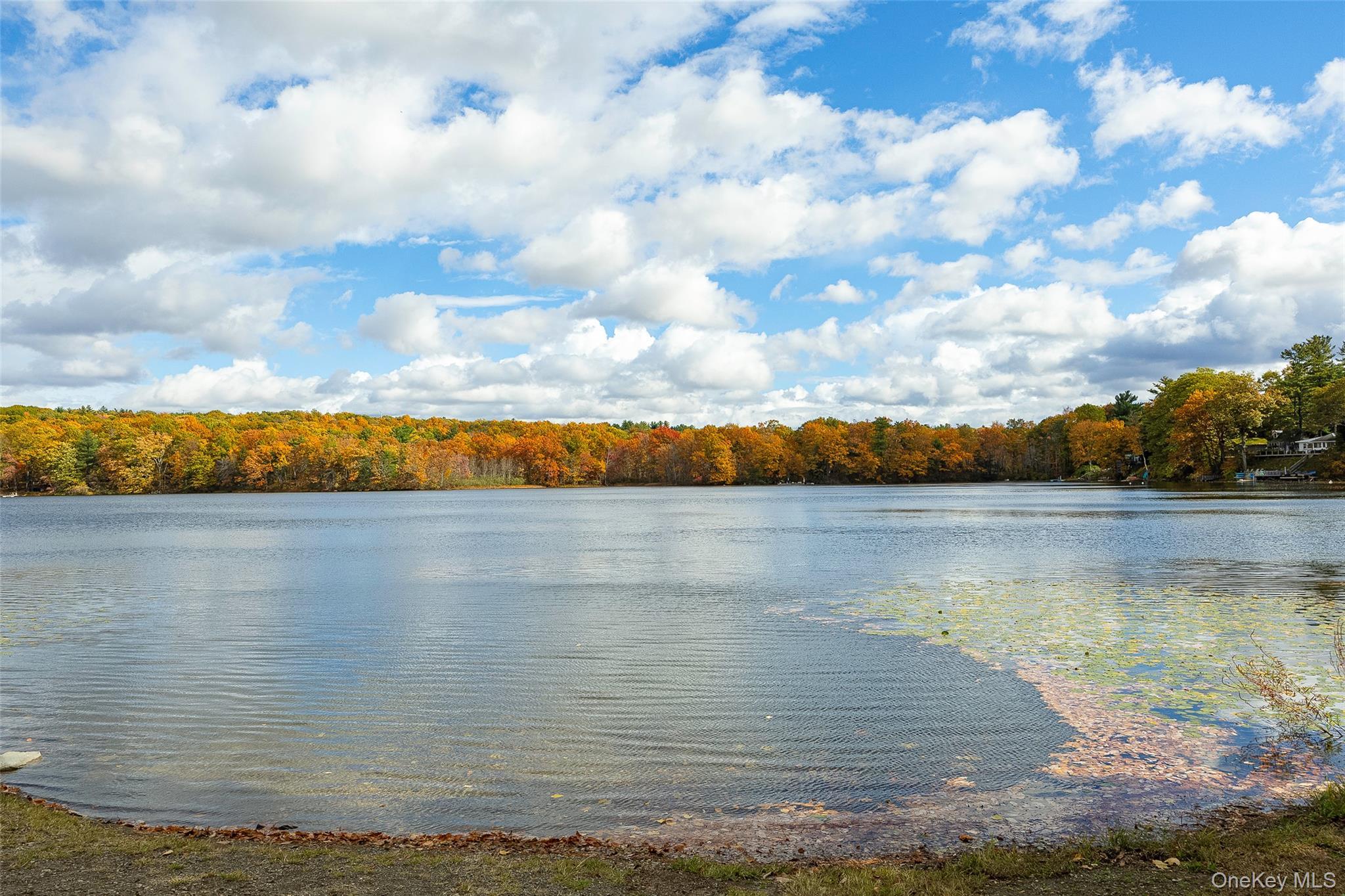 Single Family Parker Columbia County, NY 12523, MLS-927191-37