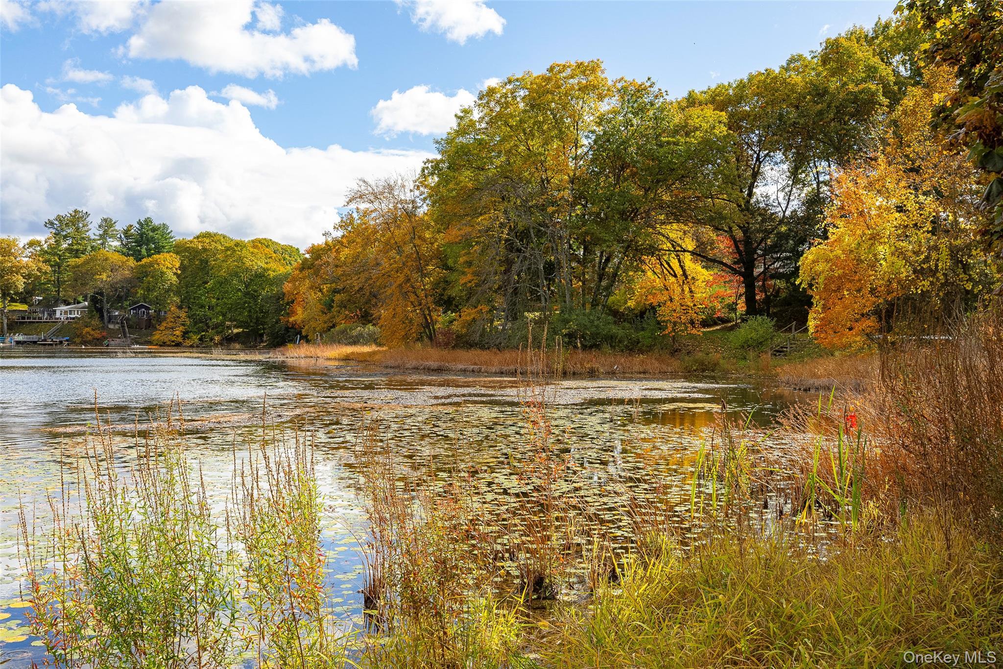 Single Family Parker Columbia County, NY 12523, MLS-927191-38
