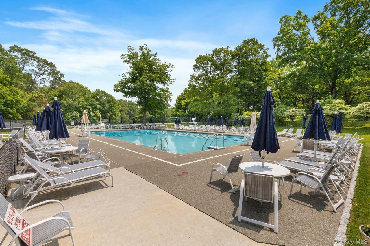 Single Family Arbor Westchester County, NY 10589, MLS-927231-37