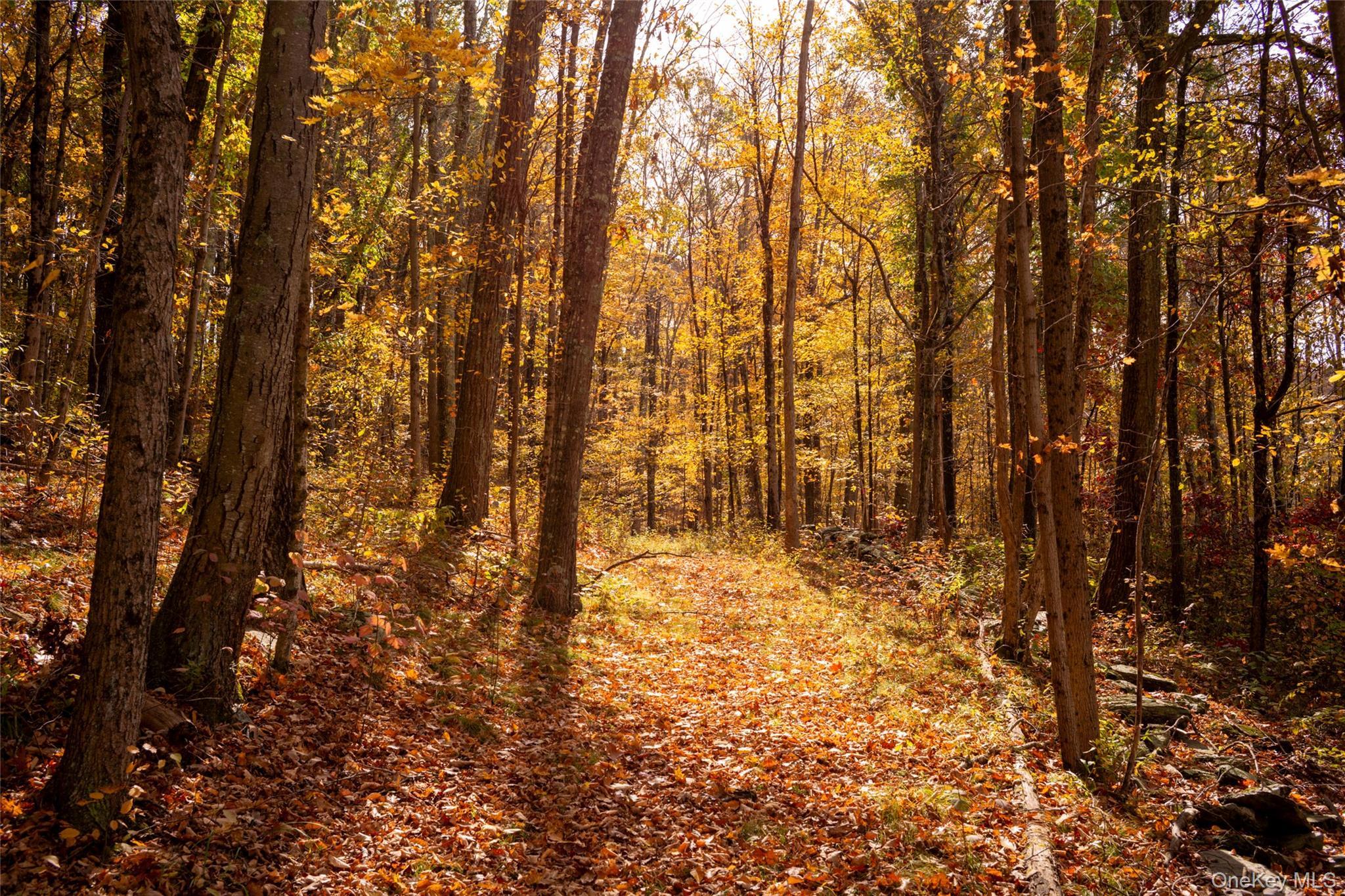 Single Family Route 82  Dutchess County, NY 12514, MLS-927248-40