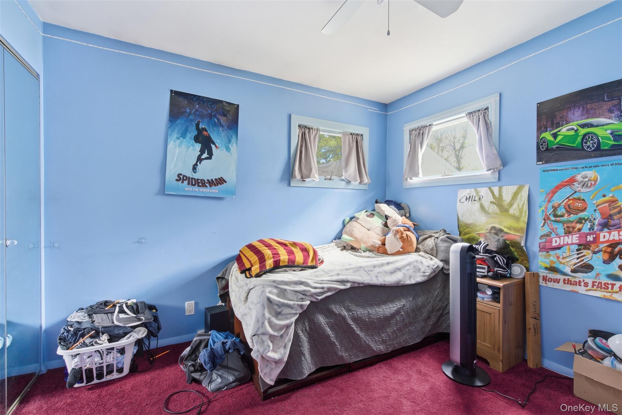 Single Family Park  Nassau County, NY 11758, MLS-927281-8