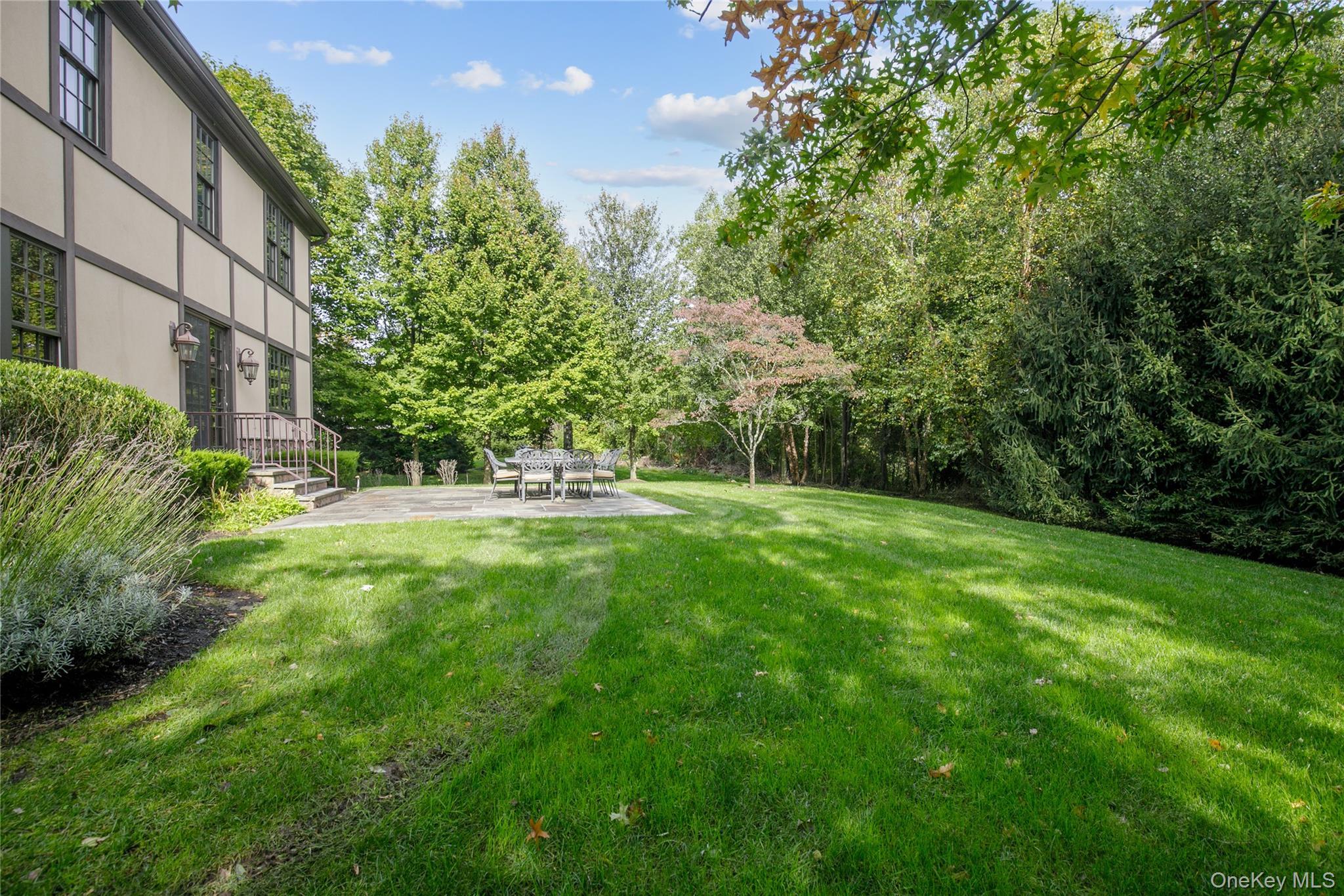 Single Family Earle Nassau County, NY 11791, MLS-927287-33