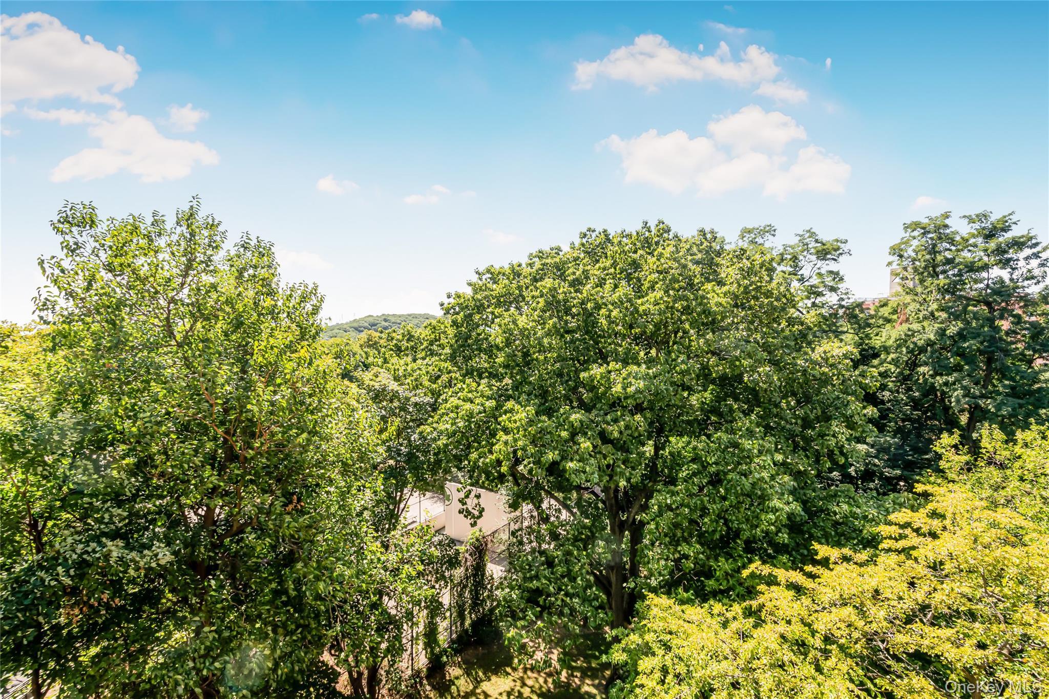 Coop Kappock  Bronx, NY 10463, MLS-927341-14