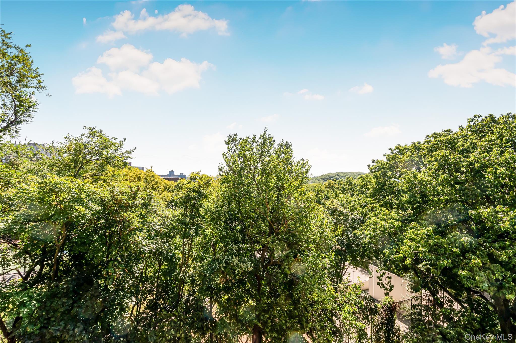 Coop Kappock  Bronx, NY 10463, MLS-927341-15