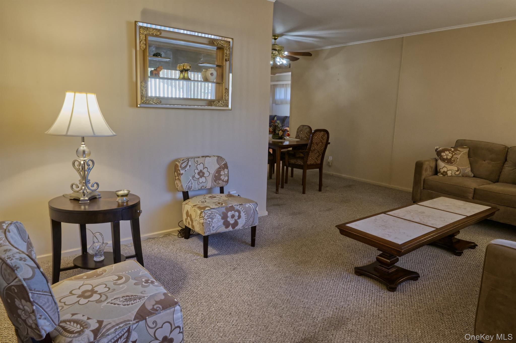 Single Family Cole  Nassau County, NY 11554, MLS-927355-4