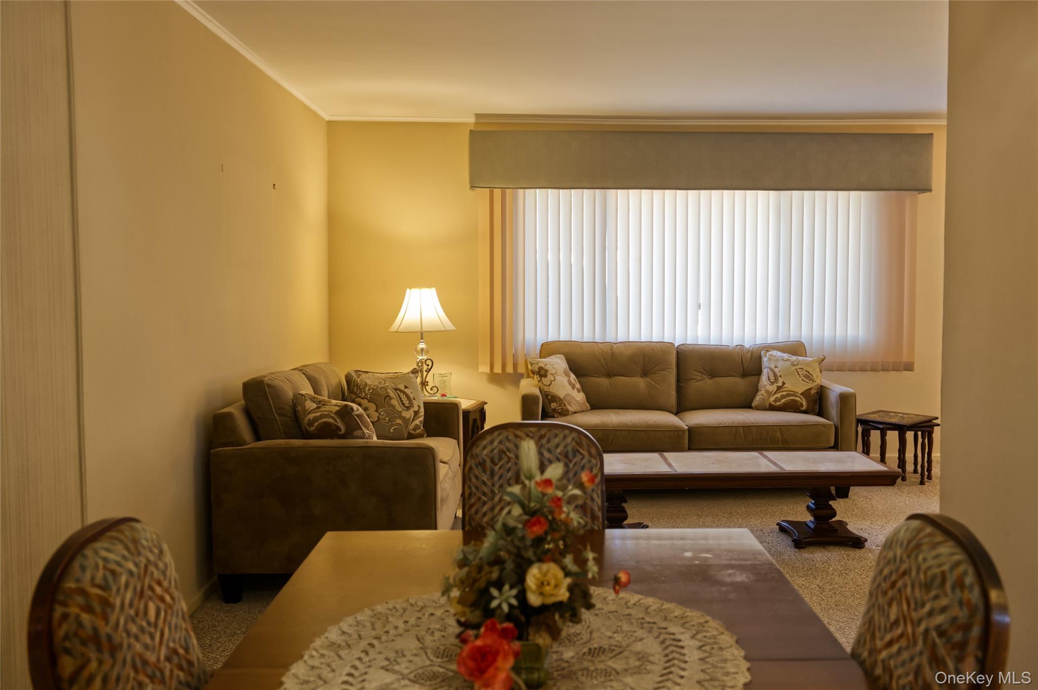 Single Family Cole  Nassau County, NY 11554, MLS-927355-8