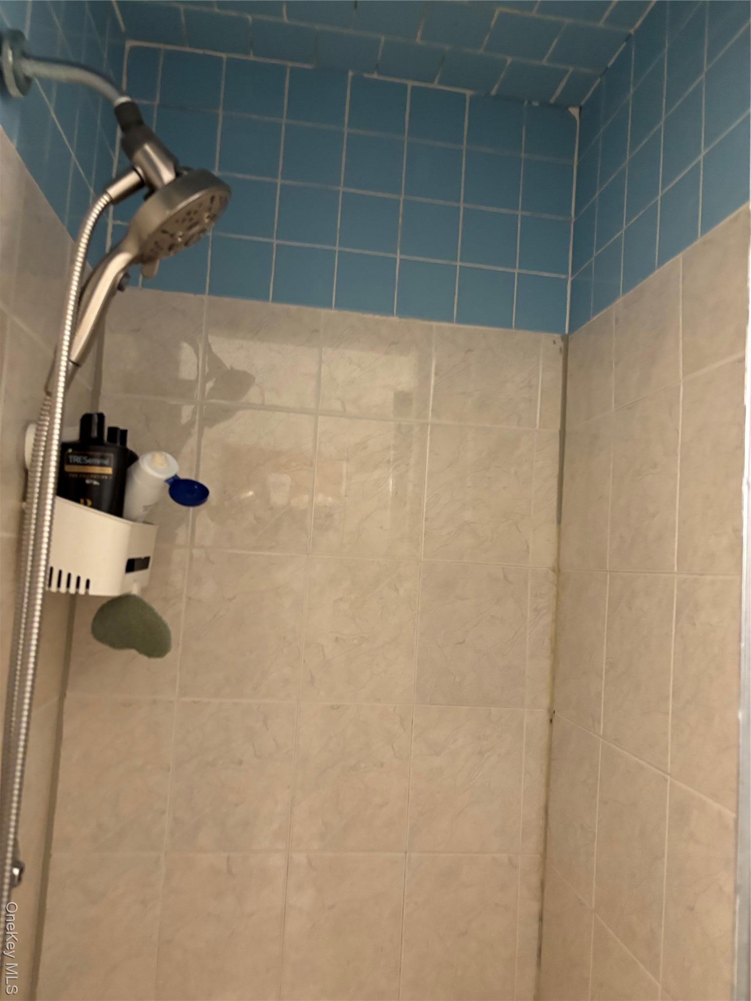 Single Family 109 St  Queens, NY 11419, MLS-927370-8