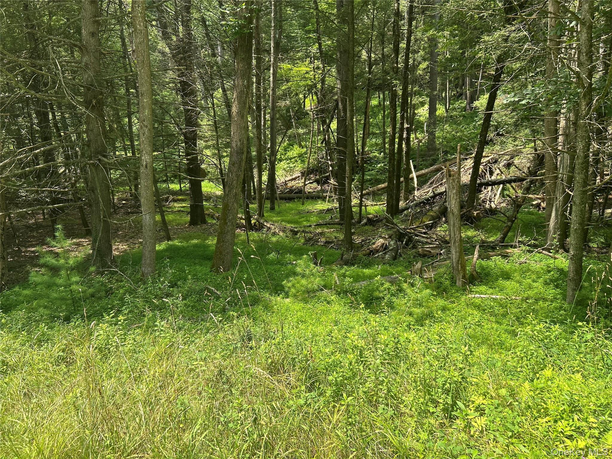 Single Family Yulan-barryville Sullivan County, NY 12719, MLS-927383-7